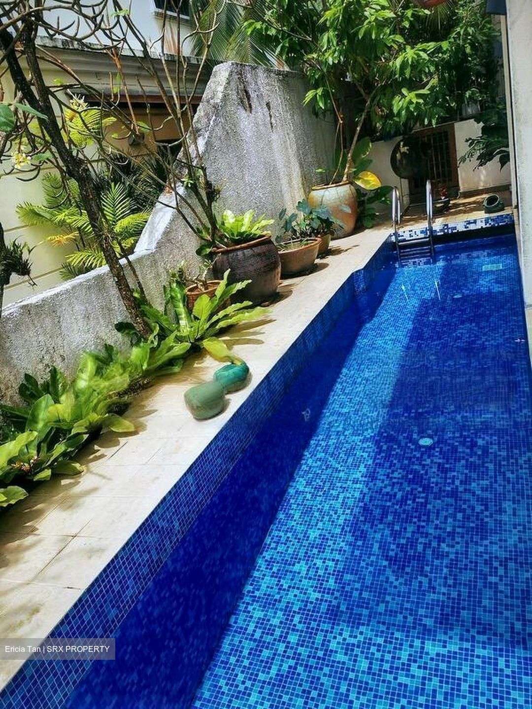 Ventana Villas (D5), Terrace #610363911